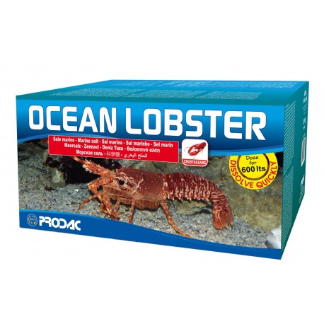 Sal   20kg 600l p.ocean lobster mariscos