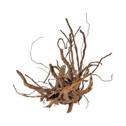 Madera natural sunken root pieza mediana