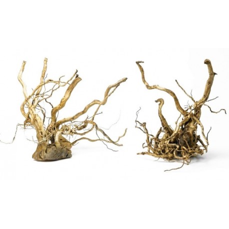Madera natural sunken root pieza    mini special 10-20cm
