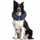 Collar inflable veterinario