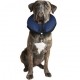 Collar inflable veterinario