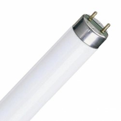 Tubo t8 blanco 20w 590mm 7500k