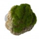 Roca moss stone ventosa s 12x9.5x10.5cm