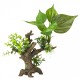 Ebi tronco florascape 6 xs 14.5x9x16.5cm