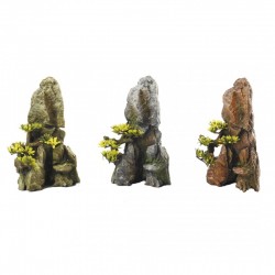 Ebi roca + bonsais surtidas bonsailate 17cm