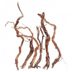 Madera natural twist root  precio/kilo