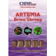 Cong. artemia blister 100gr (x6)