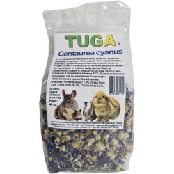 Tuga centaurea cyanus 40gr