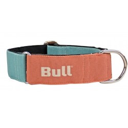 Collar galgo naranja/turquesa bull