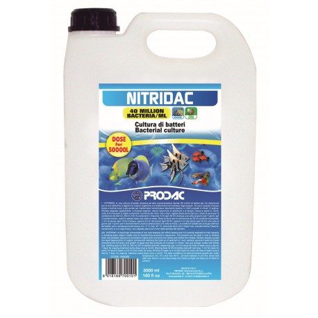 Prodac nitridac bacterias 5l