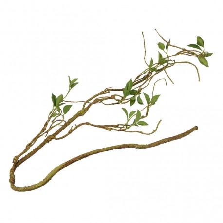 Liana terrario c/ hojas 130cm
