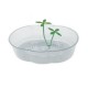 Tortuguera oval plastico traslucido 31,5x24x8 cm
