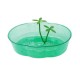 Tortuguera oval plastico traslucido 31,5x24x8 cm