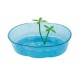 Tortuguera oval plastico traslucido 31,5x24x8 cm