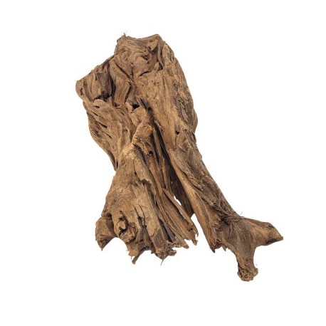 Madera natural manglar pieza  25-35cm m