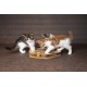 Juguete gato hexagono madera con bolas y rascador 32cm