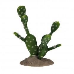 Chumbera 16.5cm