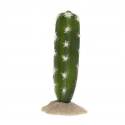 Cactus 14.5cm