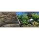 Lamina fondo doble roca/plantas  60x30cm