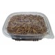 Tenebrios liofilizados 90gr