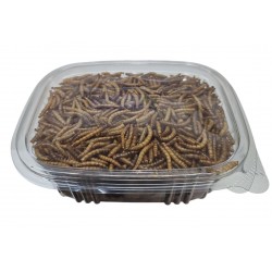 Tenebrios liofilizados 90gr