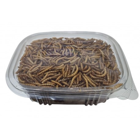 Tenebrios liofilizados 90gr