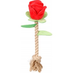 Cuerda rosa roja 30cm