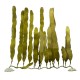 Planta plastico caulerpa 24x40cm