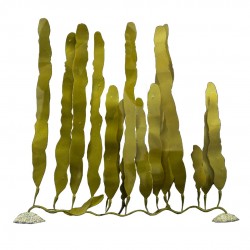 Planta plastico caulerpa 24x40cm