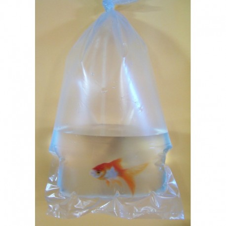 Bolsa peces venta curva 20x45 (100) es