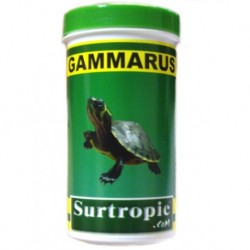 Gammarus surtropic  100ml 10gr